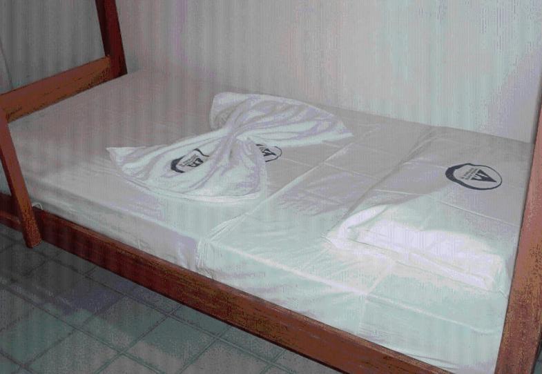 Manaira Hostel João Pessoa Dış mekan fotoğraf